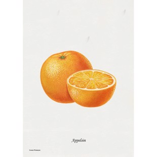 Orange Lithograph