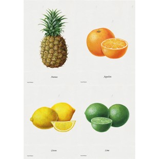 Fruit Lithographs