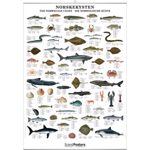 Norwegian Fish and Shellfish Poster - WITH