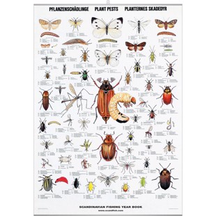 Plant Pests Poster - WITH