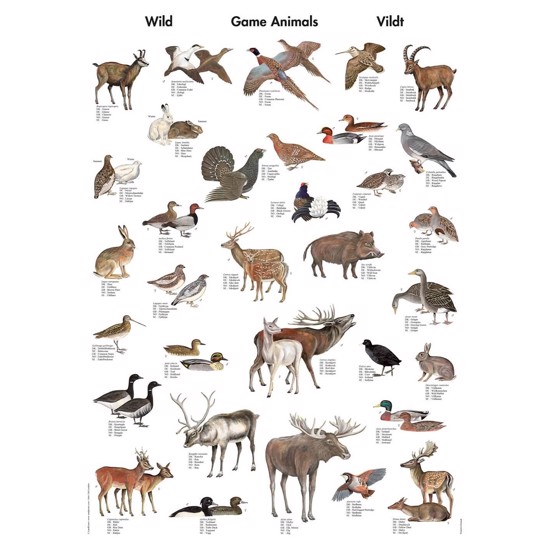 Game Animals Mini-Poster - WITHOUT
