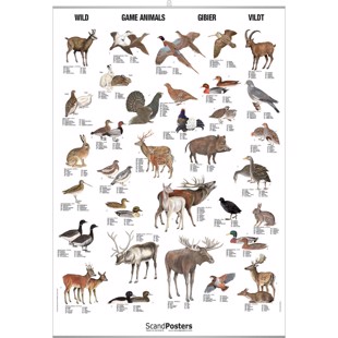 Game Animals Poster - Big - WITH