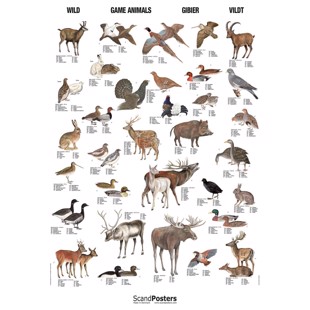 Game Animals Poster - Big