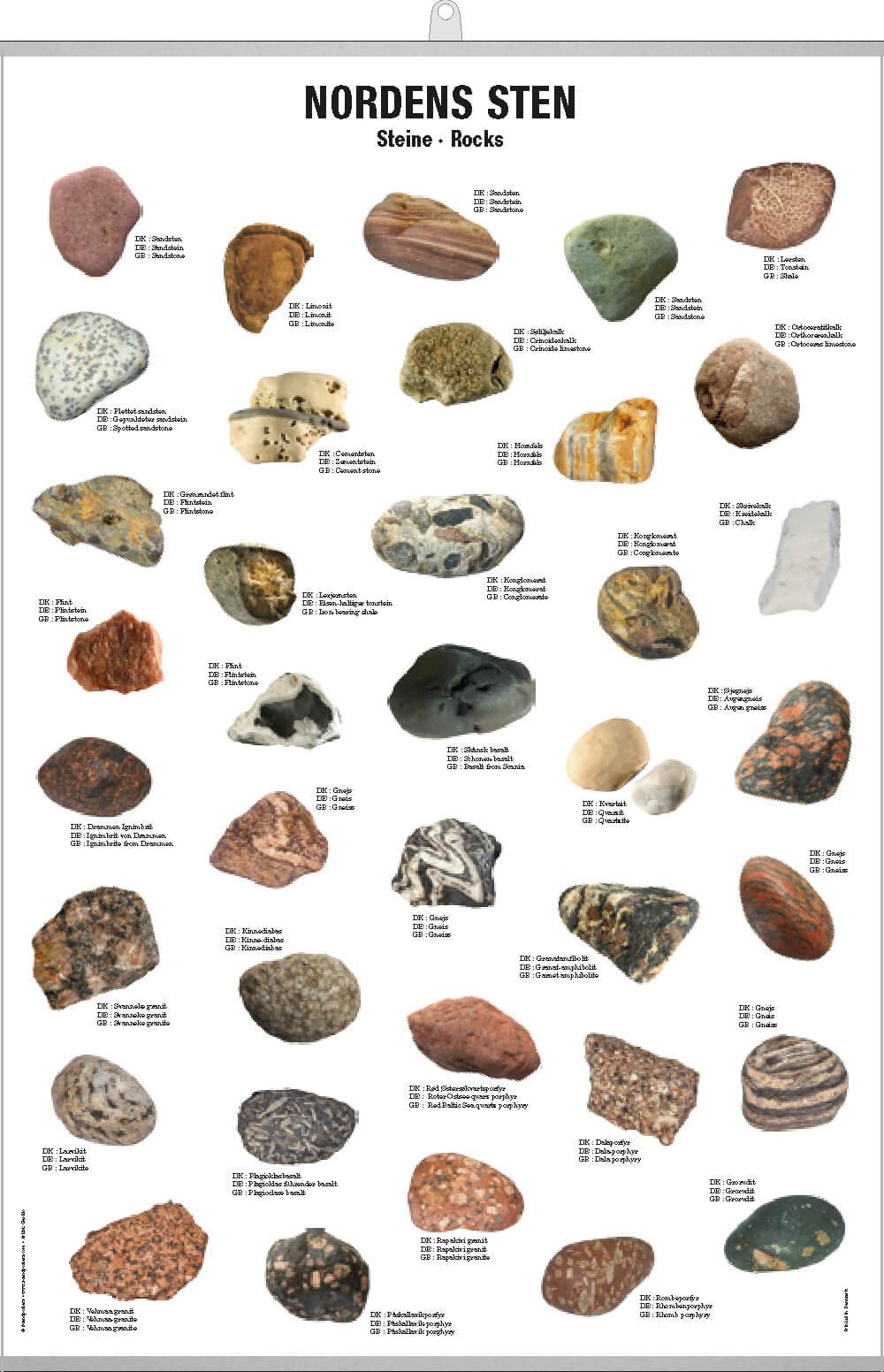 Identifying Beach Rock Identification Chart